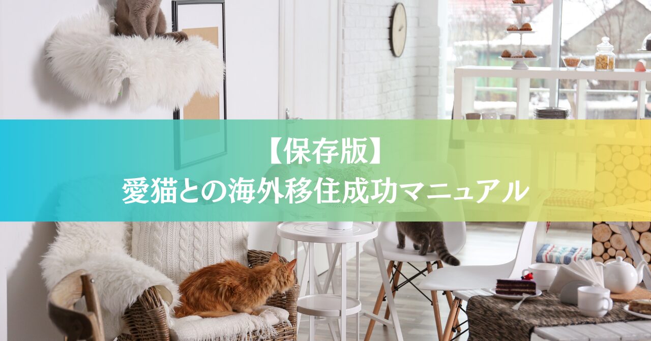 Como se mudar para o exterior com seu gato [Atualizado em 2026] – Guia completo: dos preparativos à quarentena e à vida no destino