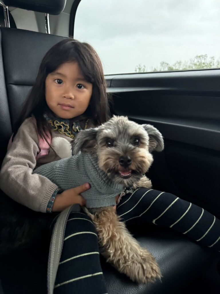 Exported one of our dogs to the Netherlands.