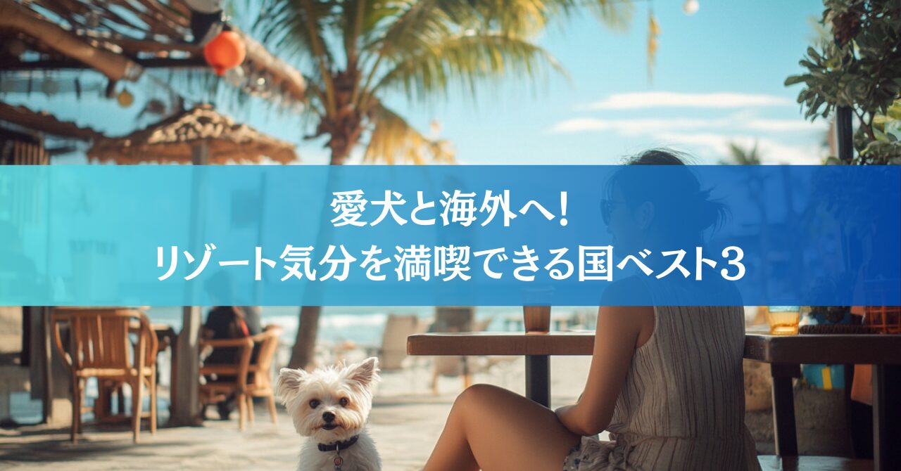 É possível viajar para o exterior com seu cãozinho para um destino tropical!? Os três países mais recomendados
