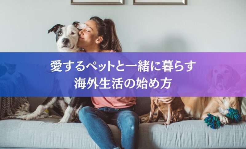 ペットと始める海外生活：知っておくべき7つのこと【Q&A付き】