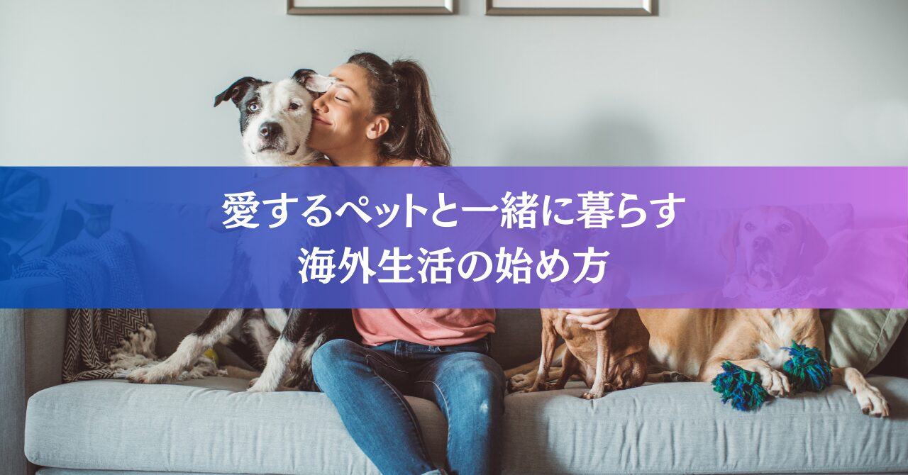 Começando a vida no exterior com animais de estimação: 7 coisas que você precisa saber [com perguntas e respostas]