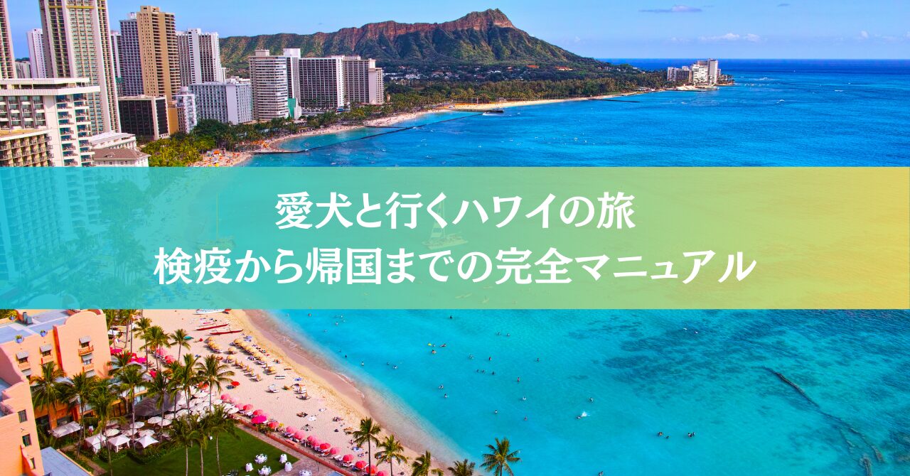 Der umfassende Reiseführer für einen Urlaub auf Hawaii mit Ihrem Hund | Ausführliche Erläuterungen von der Vorbereitung bis zu den Sehenswürdigkeiten!