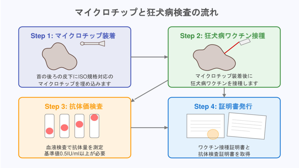 マイクロチップと狂犬病検査の流れ 