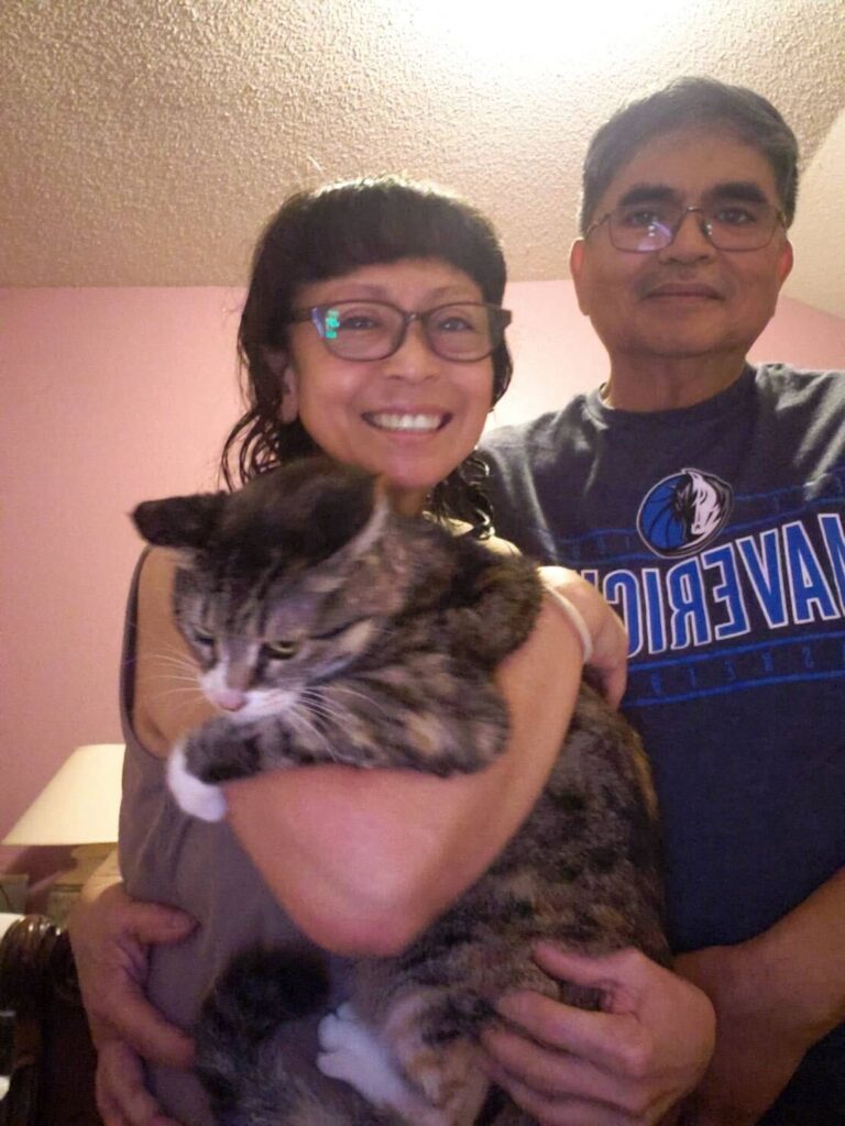 Moving from Japan to the U.S. with My Beloved Cat (Domestic Shorthair)