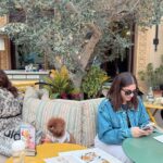 ドバイへの渡航を終えた飼い主とトイプードルが、カフェのテラス席で出発前の穏やかな時間を過ごす風景