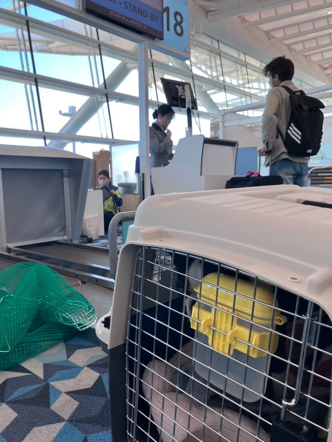 出発空港のチェックインカウンターで、ご家族と一緒に手続きを進めるMOJOちゃんのクレート（日本→アメリカ）。