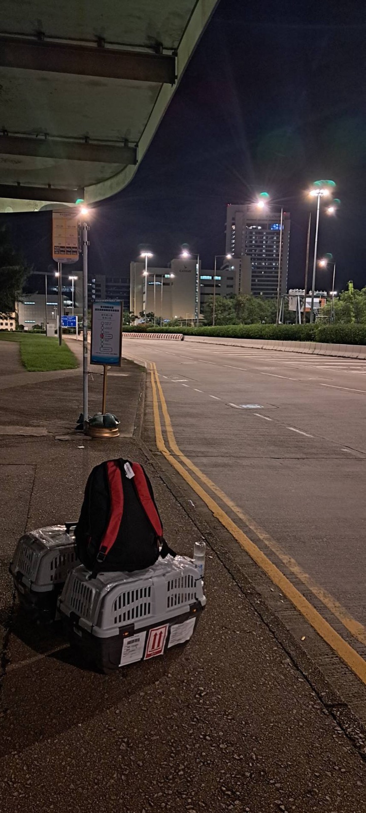 夜の香港で引き取りを終え、並んで置かれた2つのキャリー（日本→香港移住）