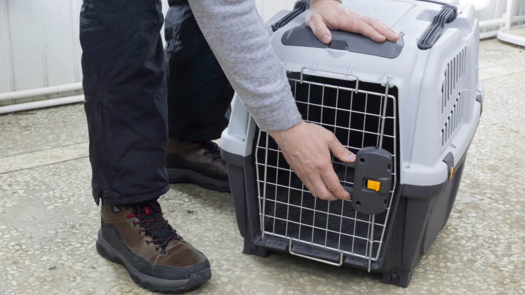 Imagem mostrando o momento em que a porta da caixa de transporte para animais de estimação é aberta